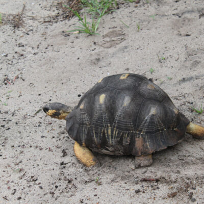 eltravel_madagaskar_2012_032